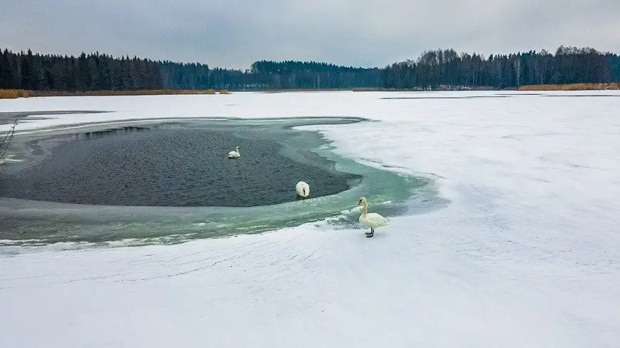 Hotele na Mazurach nie organizują Sylwestra