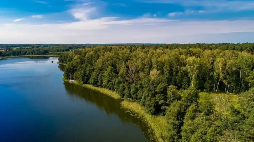 Będzie można nocować w mazurskich lasach