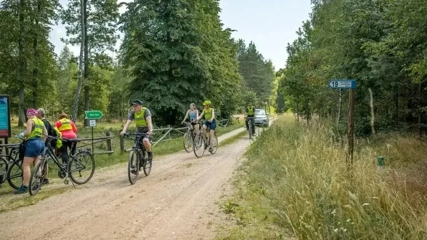 Zdjęcie poglądowe.